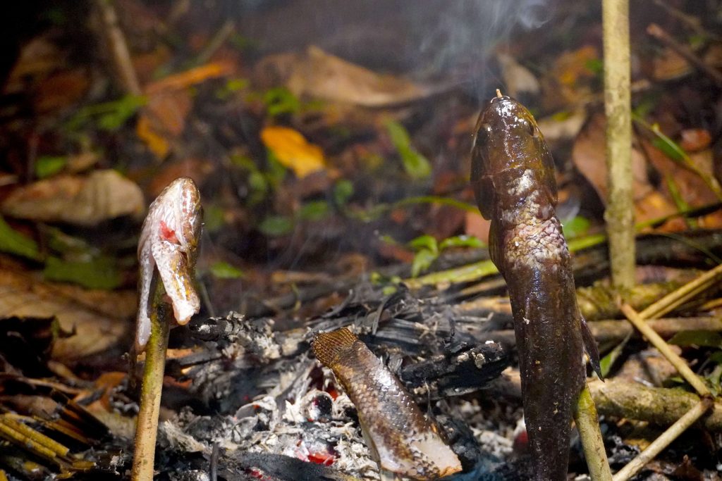 Aïmaras pour le dîner