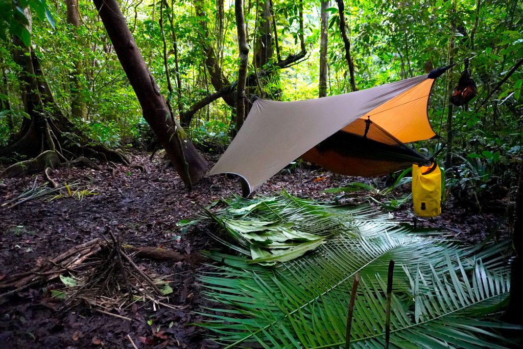 Campement hamac jungle amazonie